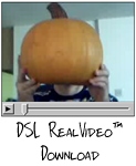 [ DSL RealVideo(TM) Download ]