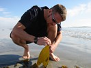 Jamie Picking Up Kelp