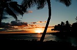 hawaiiansunsetwithpalmtrees2.jpg